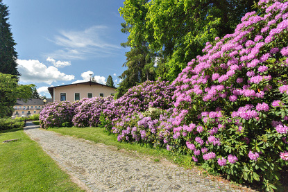 Lázeňských park Velké Losiny