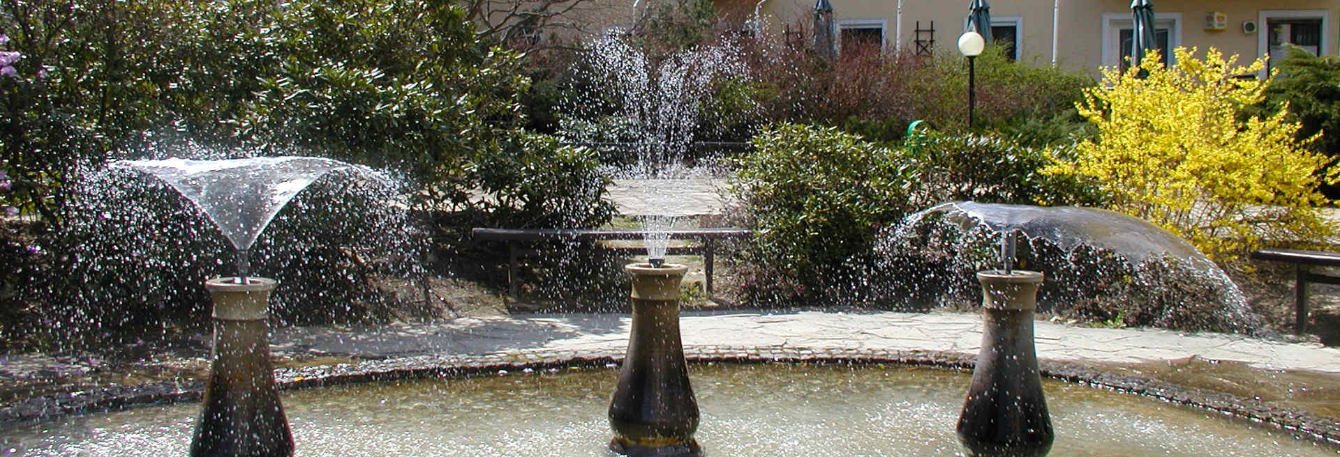 Thermal sulfur springs in front of hotel ELIŠKA